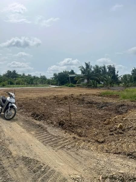 Bán miếng đất hoa hậu 100m2 hương lộ 11 , bình chánh chỉ cách đường đinh đức thiện 500m - Ảnh chính